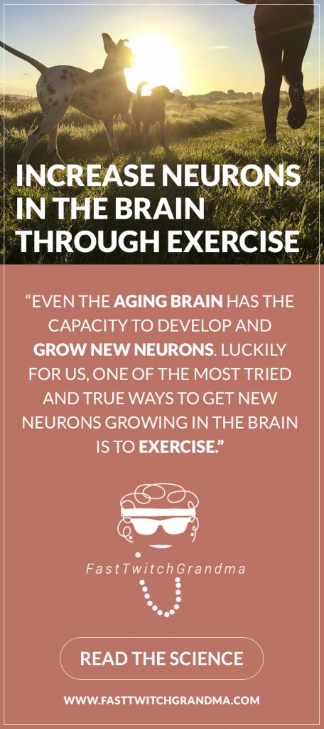 Increase Neurons in the Brain through Exercise