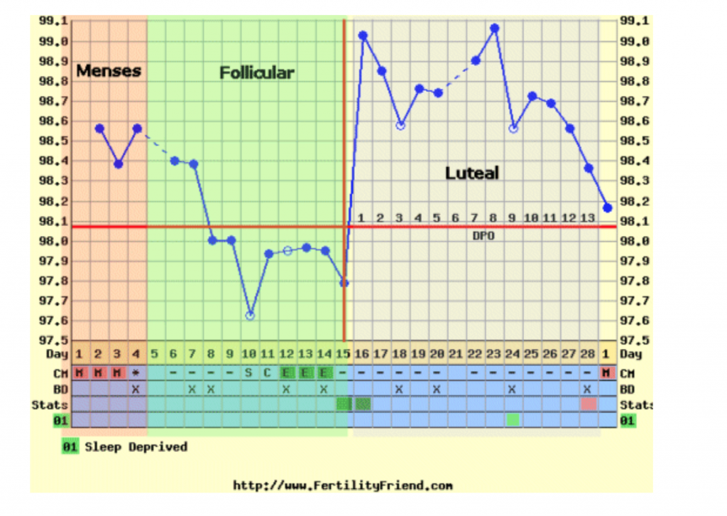 Fertility chart