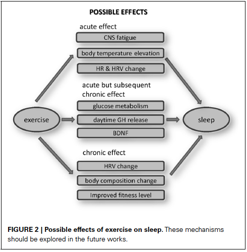 Exercise and Sleep Quality _Possible Effects