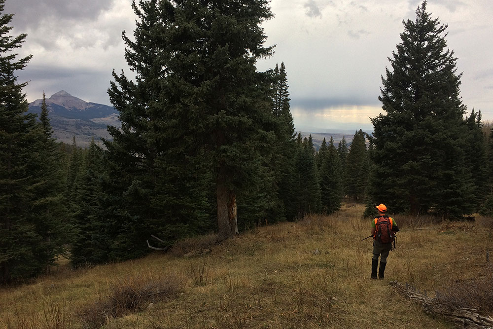 Stay Fit with Elk Hunting in the Colorado Rockies