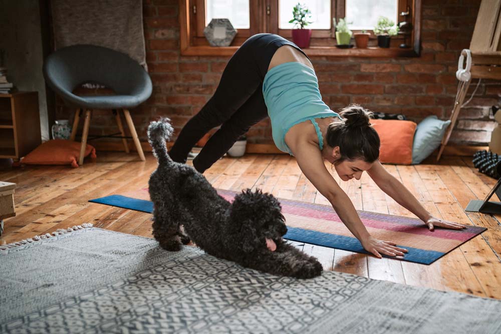Woman doing at home workout with dog